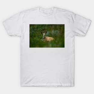 92317 deer T-Shirt